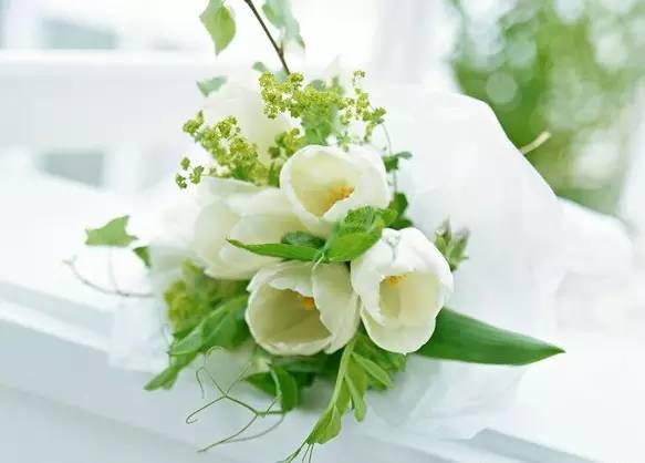 夏日花藝的色彩組合與保鮮