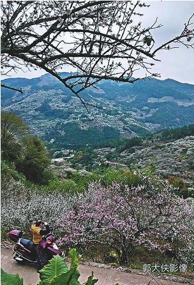 美麗鄉(xiāng)村建設(shè)如何避免“跑偏”