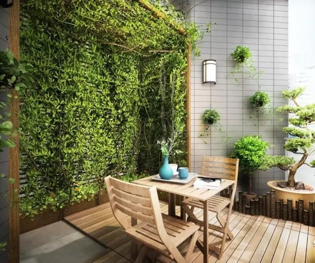 陽臺花園設計：愿你有一個陽臺繁花爬過欄桿