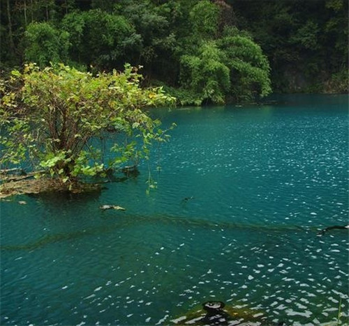 荔波樟江風景名勝區——中國的超級盆景