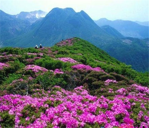荔波樟江風景名勝區——中國的超級盆景