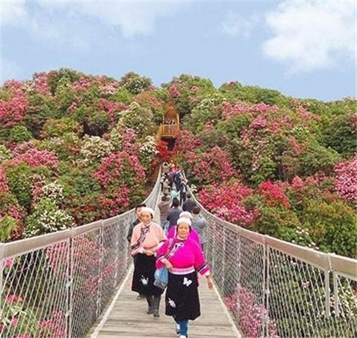 荔波樟江風景名勝區——中國的超級盆景