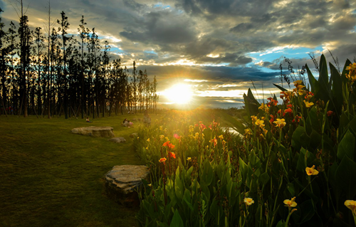 北京清控人居研究院兩項目獲IFLA AAPME獎