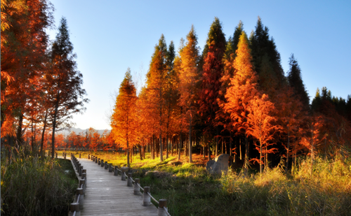 北京清控人居研究院兩項目獲IFLA AAPME獎