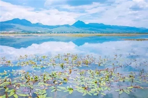 云南省第一個以濕地命名的保護區