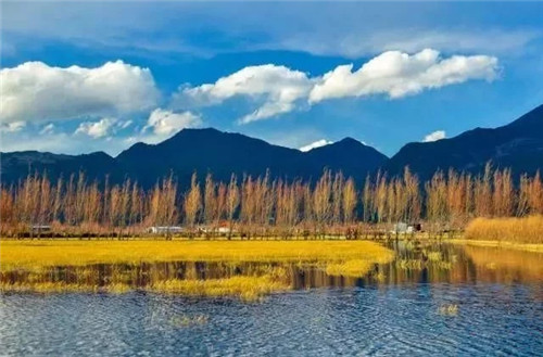 云南省第一個以濕地命名的保護區