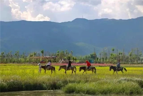 云南省第一個以濕地命名的保護區