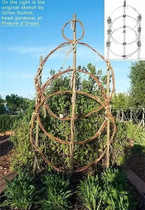用樹枝與藤蔓,編織的庭院景觀雕塑