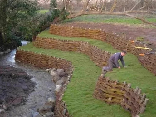 用樹枝與藤蔓,編織的庭院景觀雕塑