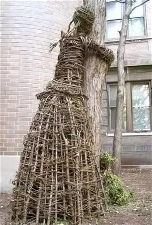 用樹枝與藤蔓,編織的庭院景觀雕塑