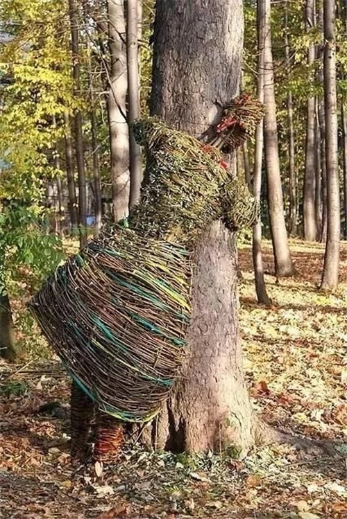 用樹枝與藤蔓,編織的庭院景觀雕塑