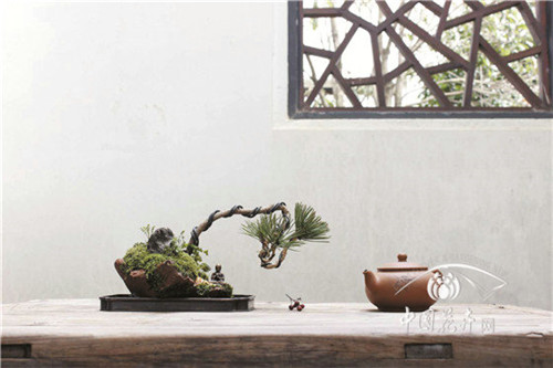 微型盆景縮天地于咫尺之間