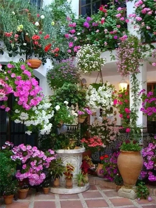 民宿設計：如果可以，我想有個這樣的小屋