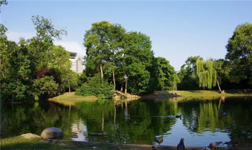 城市公園作為公共空間，如何展現(xiàn)城市魅力