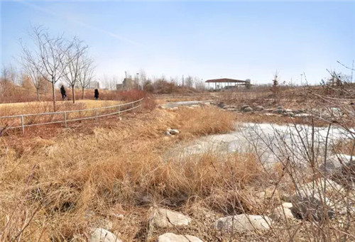 城市公園作為公共空間，如何展現(xiàn)城市魅力