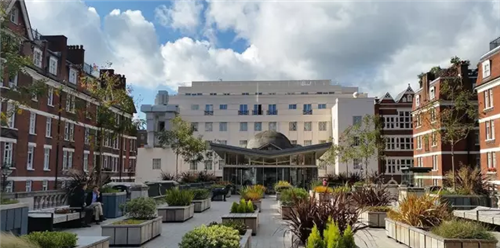 城市公園作為公共空間，如何展現(xiàn)城市魅力