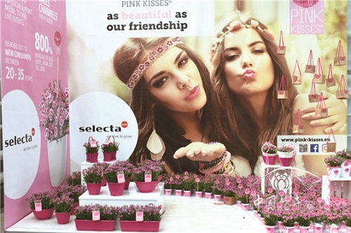 2018歐洲花卉新品展示會延續強勢