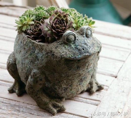 園林小品，園林中"奇麗的花朵"