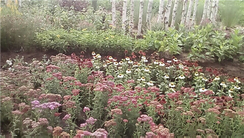 河北省第二屆（秦皇島）園林博覽會開幕