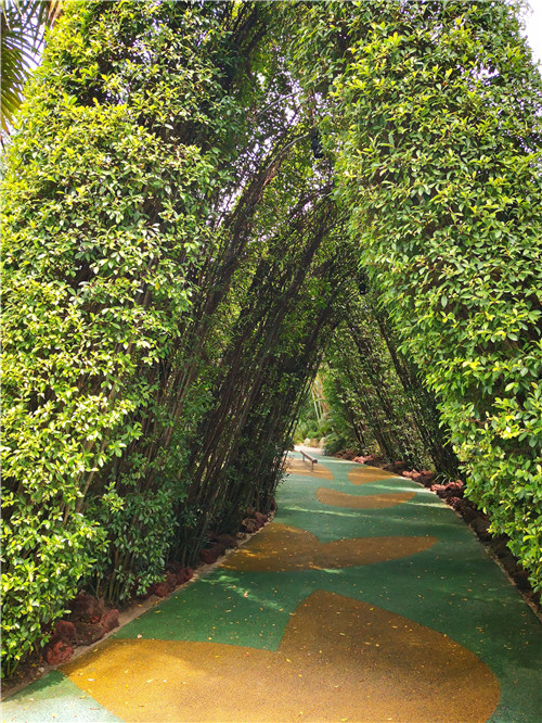 新加坡景觀專業考察 TIERRA事務所拜訪交流