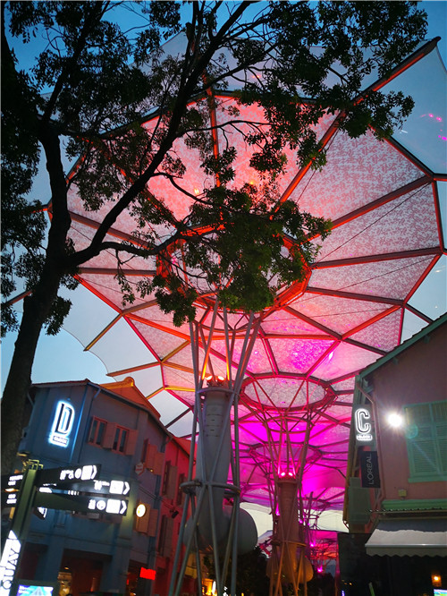 新加坡景觀專業考察 TIERRA事務所拜訪交流