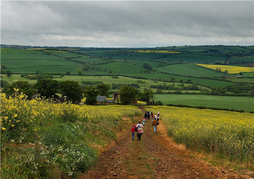 朱建寧：美麗中國背景下的國土風(fēng)貌整治