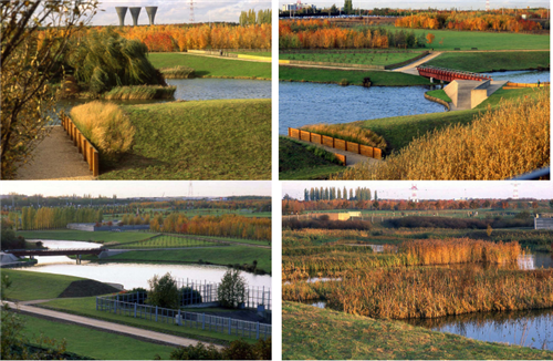 朱建寧：美麗中國背景下的國土風(fēng)貌整治