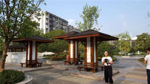 強(qiáng)健：新時(shí)代園林文化創(chuàng)作要正本清源