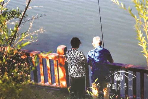 植物空間營(yíng)造如何與康養(yǎng)結(jié)合?