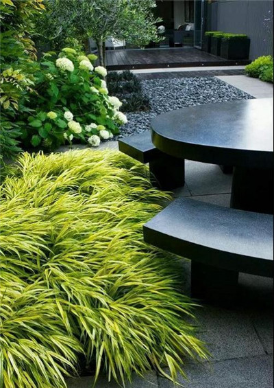 觀賞草在園林景觀中的運用