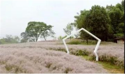 觀賞草在園林景觀中的運用