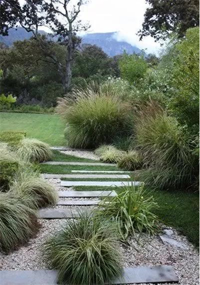 觀賞草在園林景觀中的運用