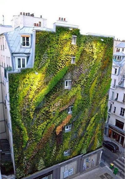 觀賞草在園林景觀中的運用