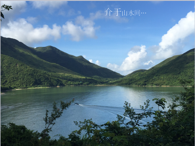 汪怡嘉：《特色城鎮(zhèn)的景觀設(shè)計(jì)與實(shí)踐---二澳農(nóng)場(chǎng)規(guī)劃設(shè)計(jì)》