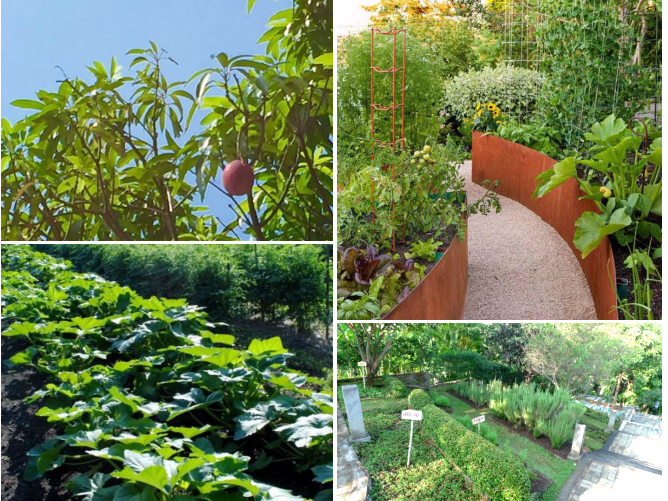 汪怡嘉：《特色城鎮(zhèn)的景觀設(shè)計(jì)與實(shí)踐---二澳農(nóng)場(chǎng)規(guī)劃設(shè)計(jì)》