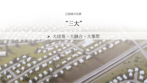 王浩：建設公園城市要有“三大、四新”