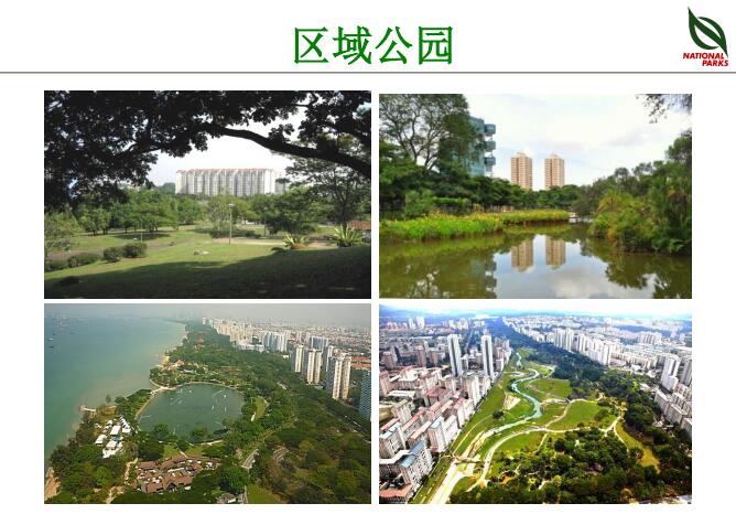 蔡福祥：《新加坡園林建設與管理》