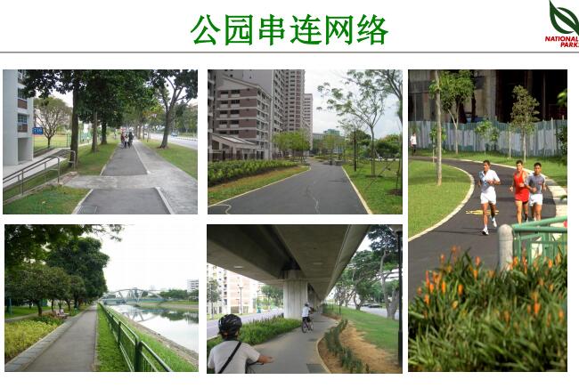 蔡福祥：《新加坡園林建設與管理》