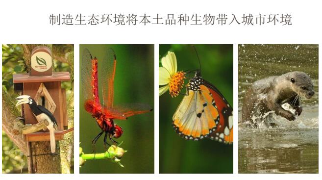 蔡福祥：《新加坡園林建設與管理》