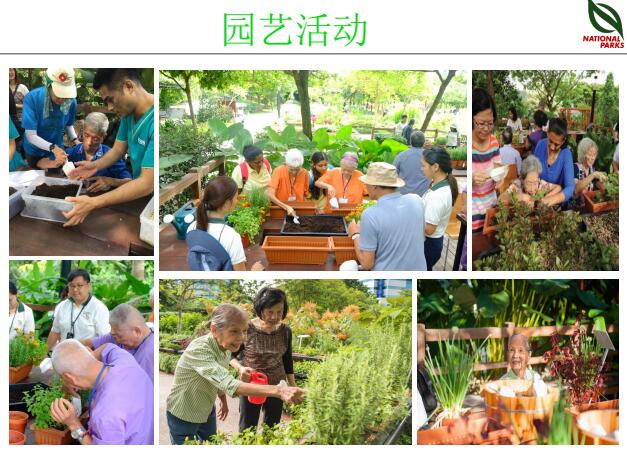 蔡福祥：《新加坡園林建設與管理》