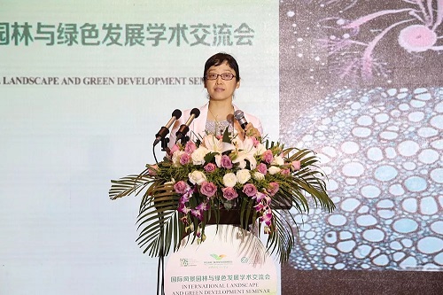 王力紅：從宏觀微觀兩層面入手 助力城市品質(zhì)提升