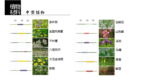 河北省第二屆（秦皇島）園博會花境創意作品——山海境
