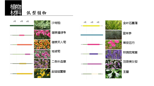 河北省第二屆（秦皇島）園博會花境創意作品——山海境