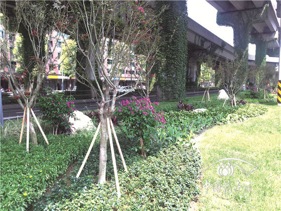 橋下綠地繽紛空間，城市花境精致組團