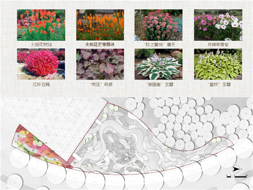 河北省第二屆（秦皇島）園博會花境創意作品——山海側　花間頤心