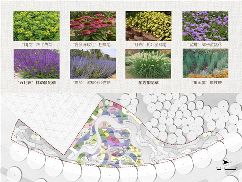 河北省第二屆（秦皇島）園博會花境創意作品——山海側　花間頤心