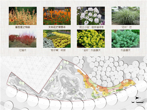 河北省第二屆（秦皇島）園博會花境創意作品——山海側　花間頤心