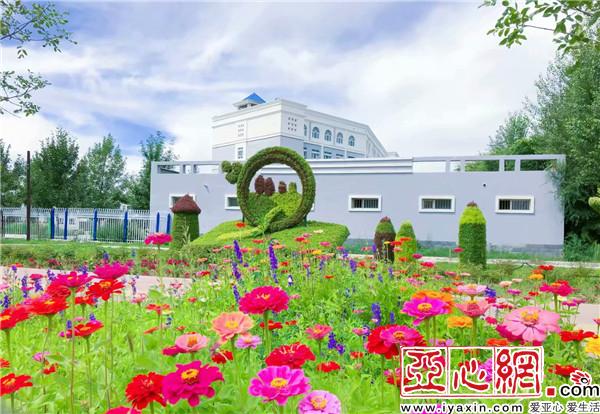 新疆：千里綠廊　百花爭艷別樣美
