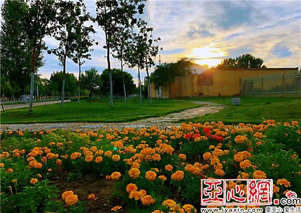 新疆：千里綠廊　百花爭艷別樣美