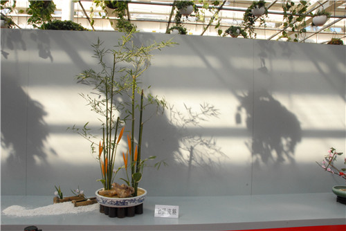 中國插花泰斗王蓮英獻藝河北省第二屆園博會